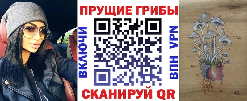 Псилоцибиновые грибы Psilocybe  Мостовской 